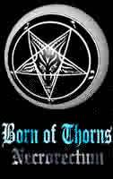 Born Of Thorns : Necrorectum